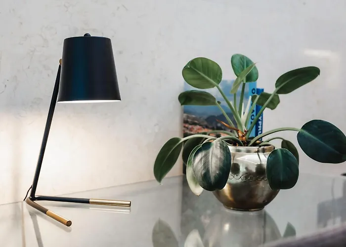 16 Executive Λευκωσία